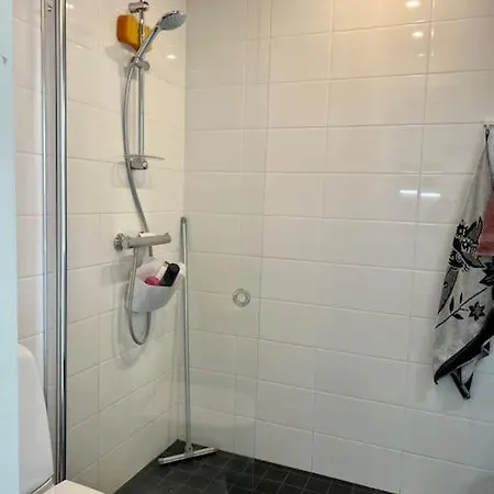 Moderni Yksioe Laehellae Keskustaa/ Modern Near Center * Joensuu