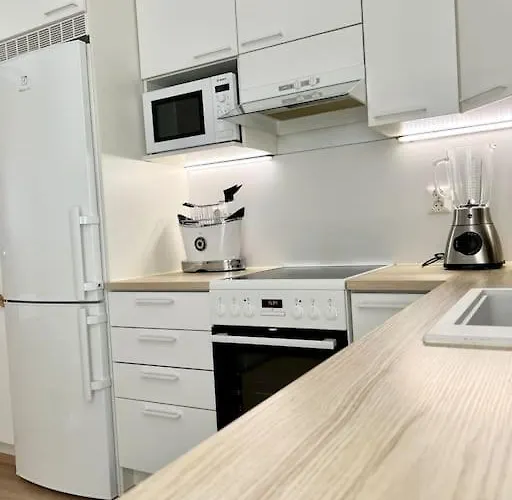 Moderni Yksioe Laehellae Keskustaa/ Modern Near Center Daire *